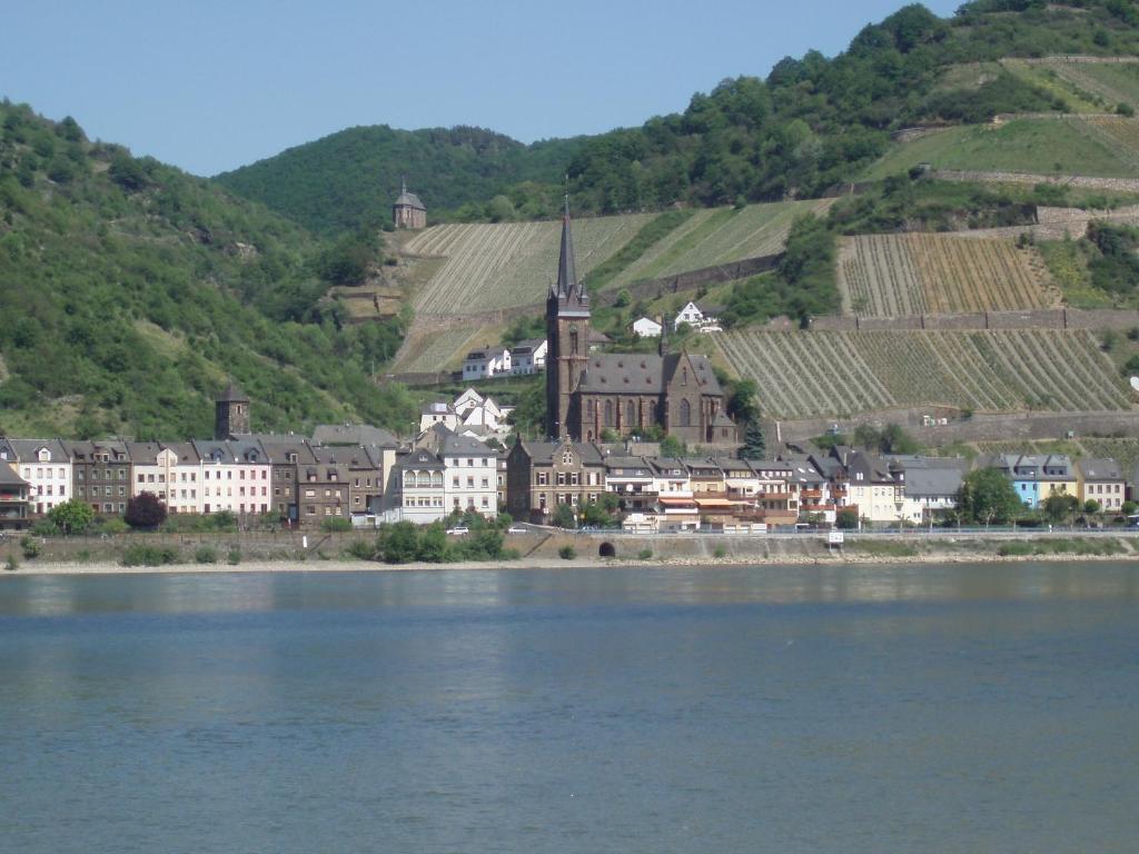 Apartament Weingut Theodor Nies Lorch am Rhein Zewnętrze zdjęcie