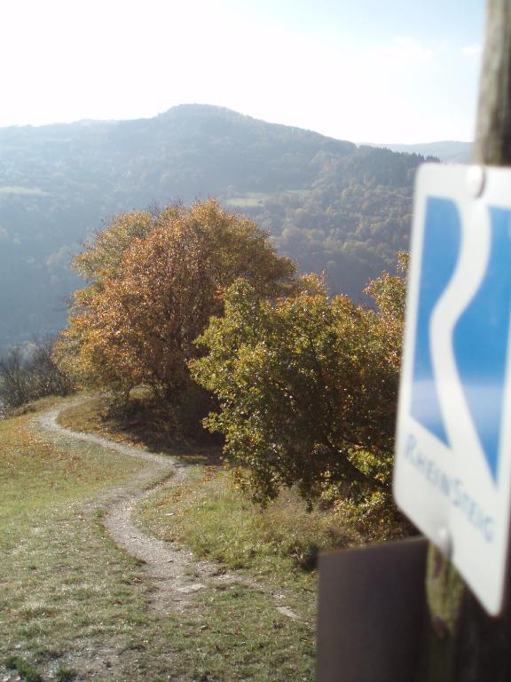 Apartament Weingut Theodor Nies Lorch am Rhein Zewnętrze zdjęcie