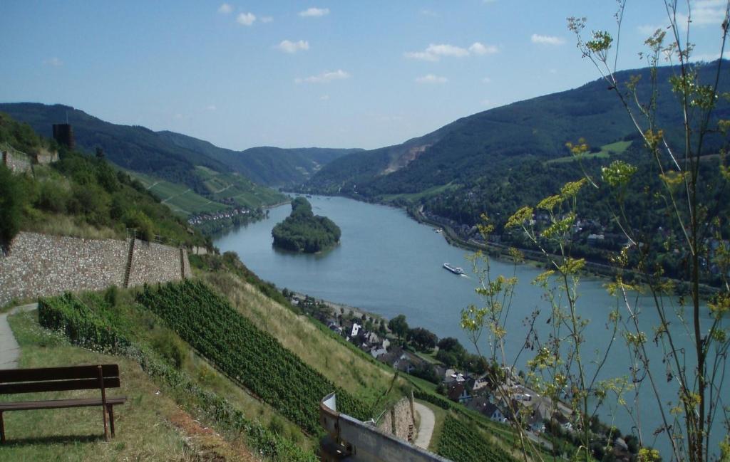 Apartament Weingut Theodor Nies Lorch am Rhein Zewnętrze zdjęcie
