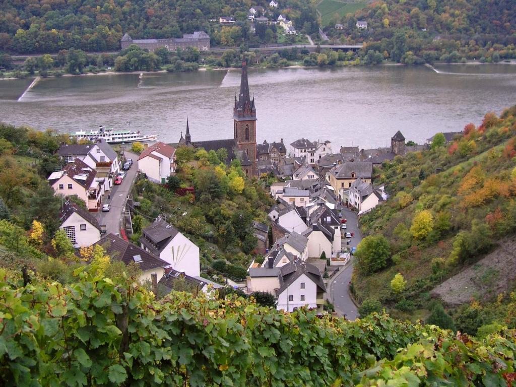 Apartament Weingut Theodor Nies Lorch am Rhein Zewnętrze zdjęcie